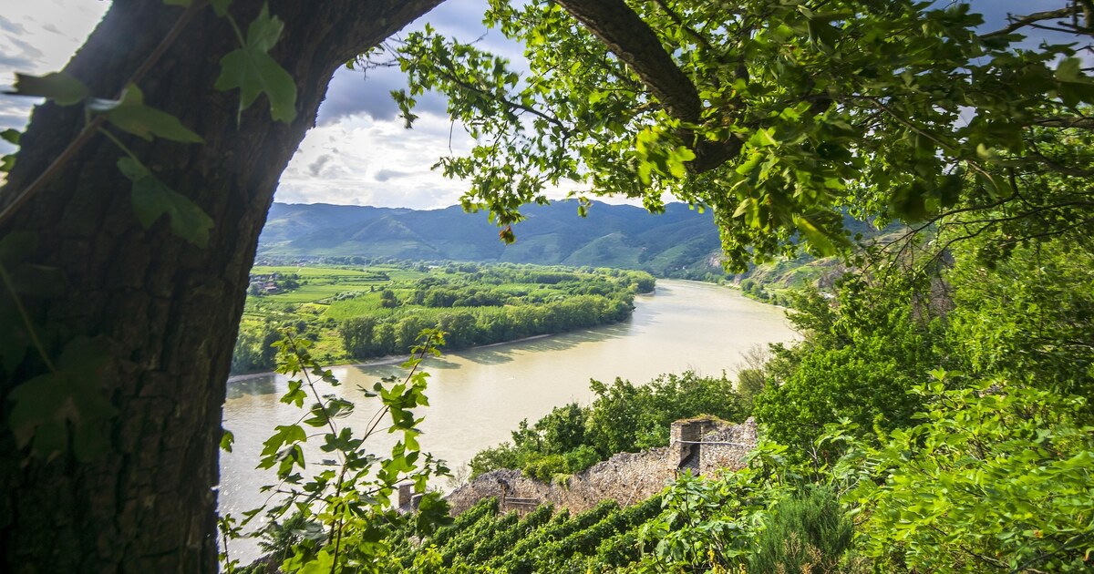 Farbfoto: Donau